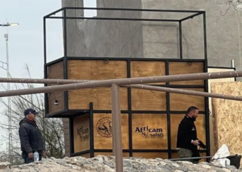 Llega contenedor para trasladar a Benito; esperan que la jirafa se adapte para iniciar el viaje a Puebla