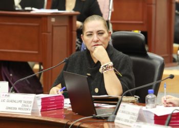 Destaca Taddei Zavala importancia del INE como institución autónoma para organizar elecciones