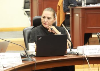 Destaca Taddei Zavala importancia del INE como institución autónoma para organizar elecciones