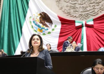 Inadmisible la situación de inseguridad en el país: Ana Lilia Herrera