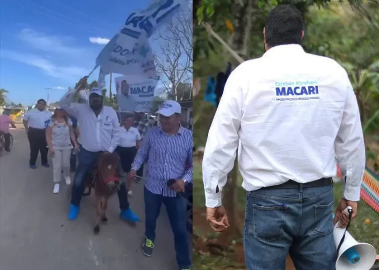Acusan de maltrato animal a panista por montar un poni en campaña