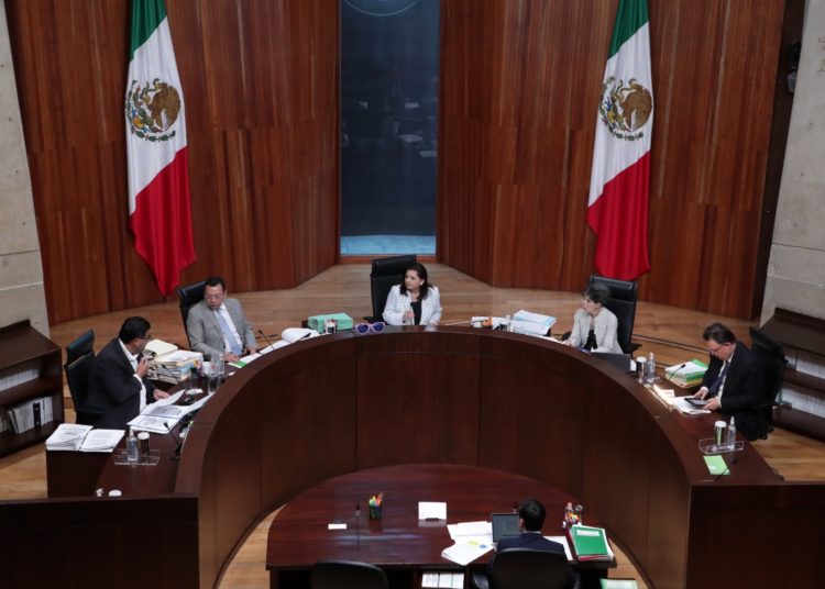 TEPJF protege libertad de expresión: Descarta revisión de libro de AMLO