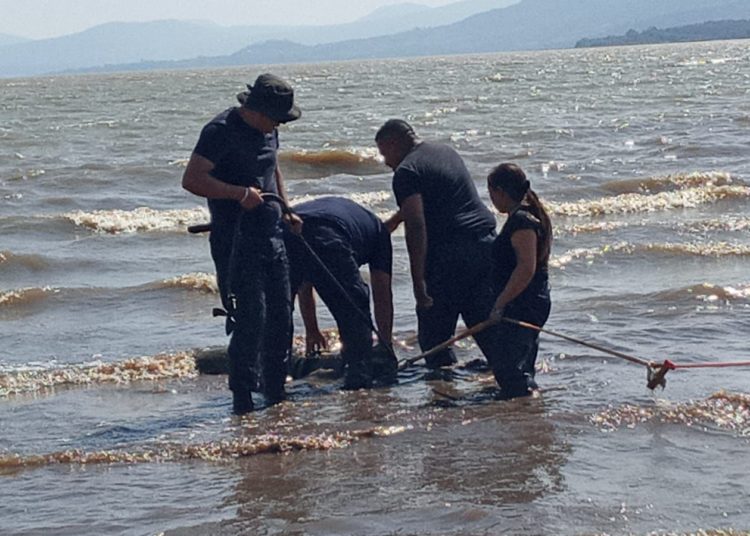 Deshabilita Guardia Civil megatoma ilegal para el huachicoleo de agua en el lago de Pátzcuaro