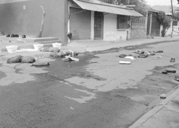 Hallan cuatro cuerpos desmembrados en Acapulco