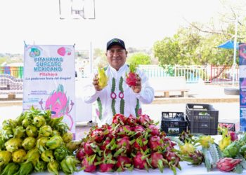 Santo Domingo Tianguistengo, medio siglo celebrando la Feria de la Pitaya