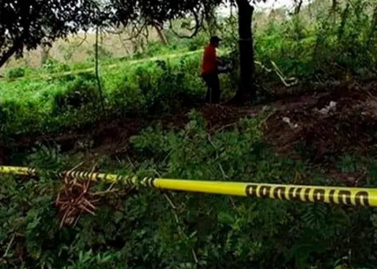 Hallan fosas clandestinas en Oaxaca; exhuman restos de ocho personas
