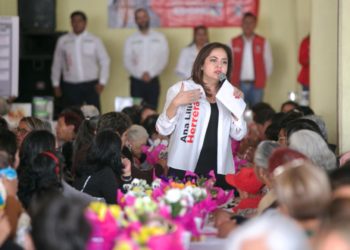 No más improvisados, tenemos que recuperar México: Ana Lilia Herrera