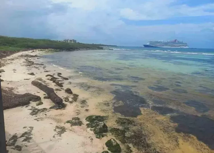 El mar se aleja de la costa en playa de Mahahual previó al impacto del huracán Beryl