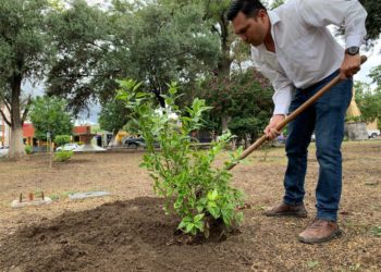 Lluvias dan respiro al campo del municipio de Matehuala, SLP
