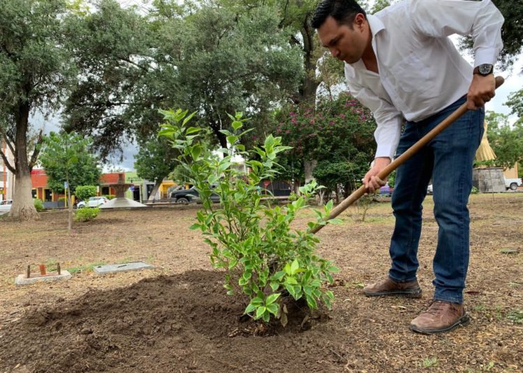 Lluvias dan respiro al campo del municipio de Matehuala, SLP
