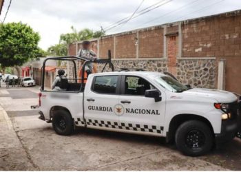 Asegura Fiscalía de Morelos autos, placas de circulación y leones en inmueble de Cuernavaca