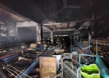 Sofocan Bomberos de Nayarit un siniestro en el municipio de Compostela