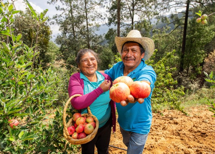 Realizará Santa Martha Latuvi octava Feria de la Manzana