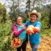 Realizará Santa Martha Latuvi octava Feria de la Manzana
