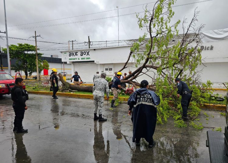 Reportan saldo blanco en QRoo tras impacto del huracán ‘Beryl’
