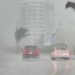 Onda tropical número 8 provoca inundaciones en municipios de Veracruz y Boca del Río