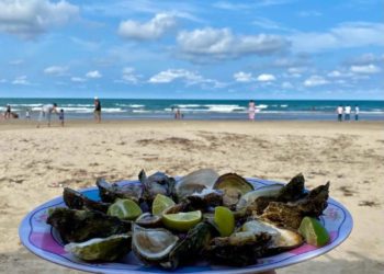 Alcaldesa morenista pone su nombre a playa de Tamiahua, Veracruz