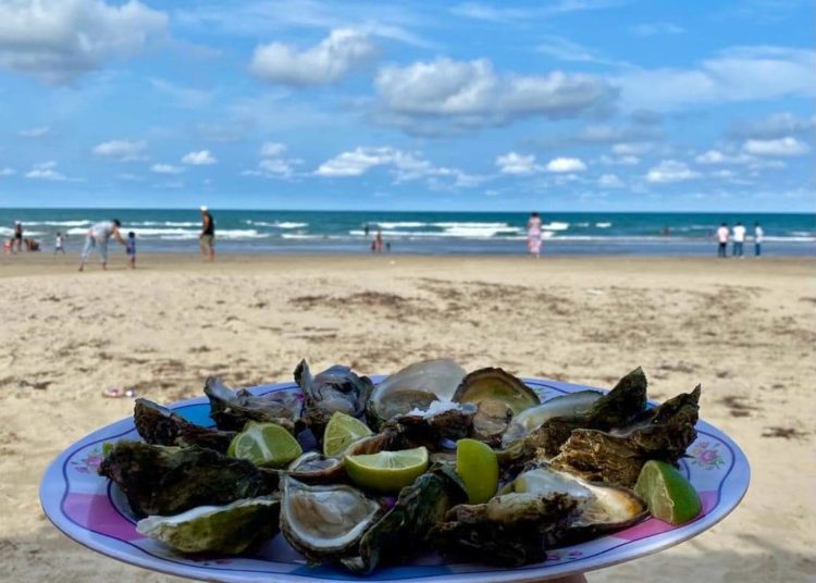 Alcaldesa morenista pone su nombre a playa de Tamiahua, Veracruz