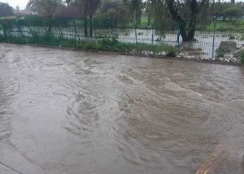Municipio de Aguascalientes activa alerta máxima por fuertes lluvias; reportan dos personas muertas