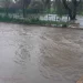 Municipio de Aguascalientes activa alerta máxima por fuertes lluvias; reportan dos personas muertas