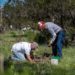 Impulsa Tlaxcala reforestación y conservación ambiental con alianzas estratégicas