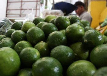 Se duplica precio del kilo de limón en menos de una semana, por paro en Apatzingán