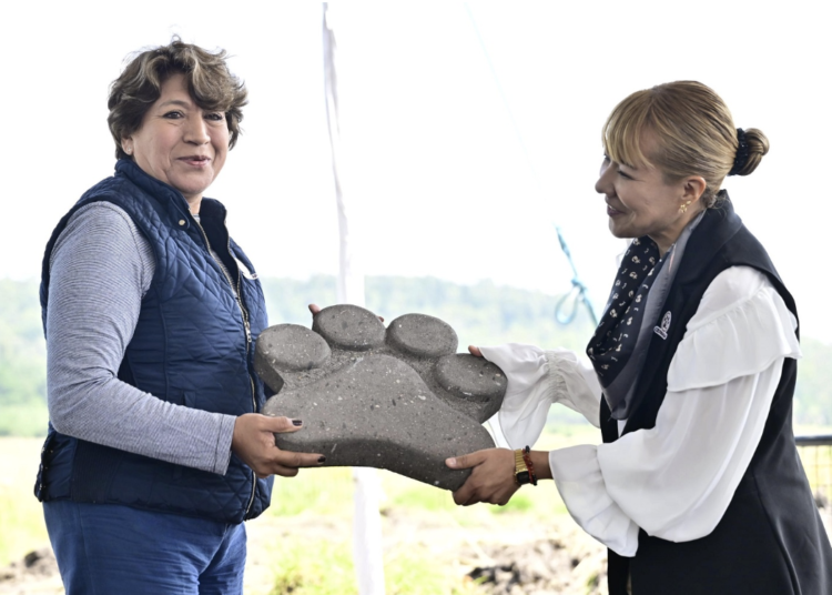 Inicia GEM construcción de dos centros de bienestar animal para pequeñas especies sin afectar el entorno ambiental