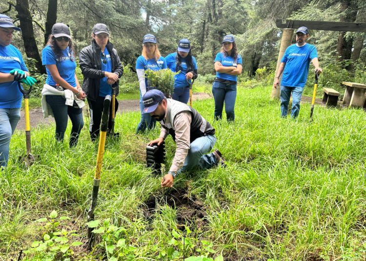 ANPACT lidera reforestación en Ocoyoacac para impulsar la sostenibilidad