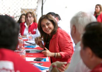 Construye el PRI un proyecto de nación con causas sociales: Ana Lilia Herrera
