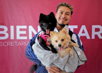 Esteriliza GEM a 204 animales de compañía en las Jornadas Itinerantes de la Secretaría de Bienestar