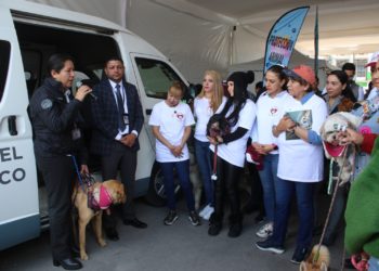 Lleva GEM atención médica gratuita para michis y lomitos de Naucalpan