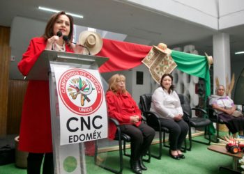 Sigue el PRI firme en la lucha con causas sociales: Ana Lilia Herrera