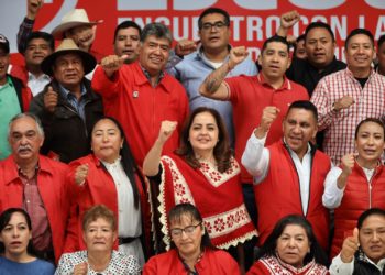 Un PRI fuerte es fundamental para la construcción de un país unido: Ana Lilia Herrera