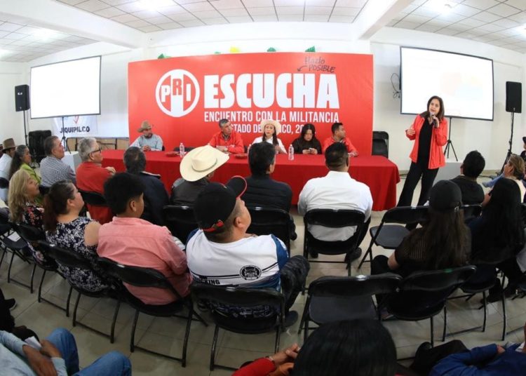 El PRI volverá con trabajo y en unidad para ser la opción del pueblo: Ana Lilia Herrera