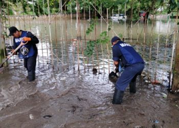 Personal naval brinda apoyos a la población ante el paso de la Tormenta Tropical Sara en Quintana Roo