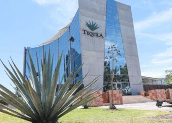 Productores de agave exigen investigación y regulación ante monopolio en la industria del Tequila