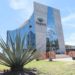 Productores de agave exigen investigación y regulación ante monopolio en la industria del Tequila
