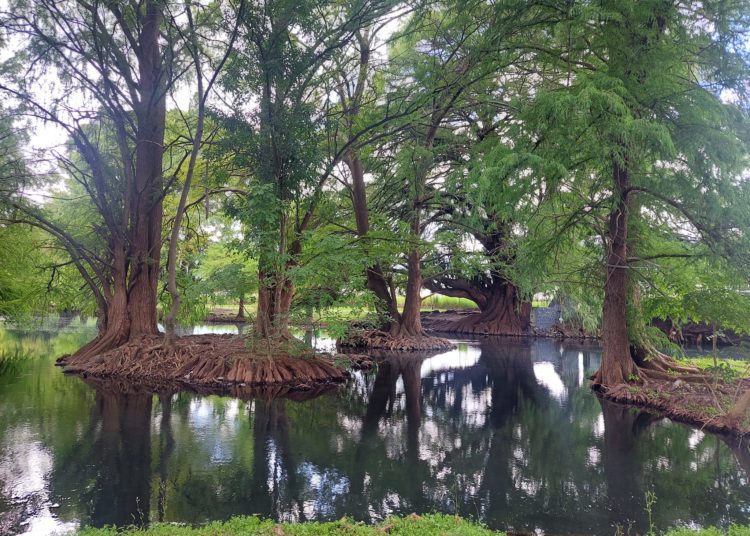 Tangancícuaro conmemora 193 años como municipio