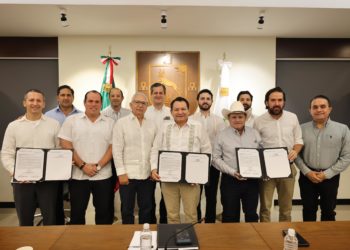 Anuncia Gobernador Joaquín Díaz Mena inversión privada de 2,600 mdp para nuevo parque eólico