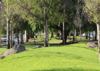 Municipio de Aguascalientes fortalece el mantenimiento y cuidado de áreas verdes