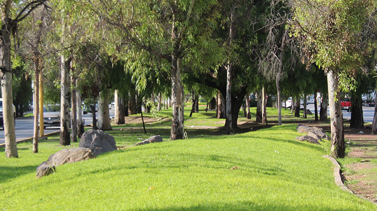 Municipio de Aguascalientes fortalece el mantenimiento y cuidado de áreas verdes