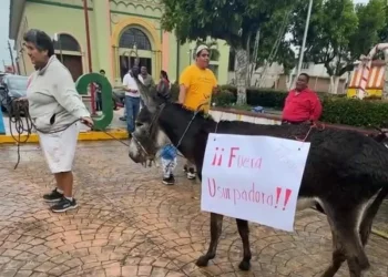 Pobladores toman palacio municipal de Lerdo en Veracruz y amenazan con pasear en burro a alcaldesa