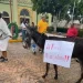 Pobladores toman palacio municipal de Lerdo en Veracruz y amenazan con pasear en burro a alcaldesa