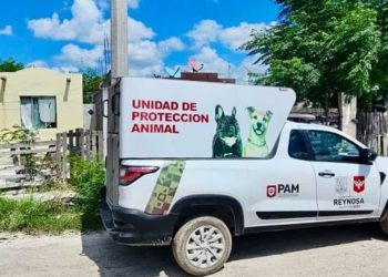 Reynosa refuerza estrategias contra la crueldad animal