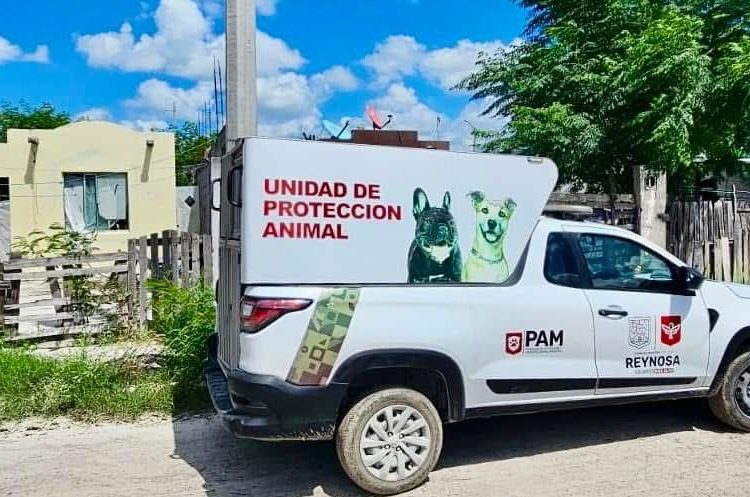Reynosa refuerza estrategias contra la crueldad animal