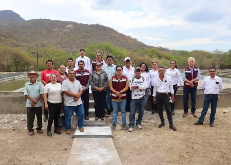 Impulsan actividad acuícola en municipio de Santa María Jalapa del Marqués