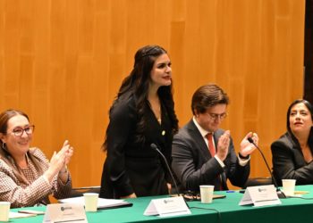 Cámara de Diputados alberga foro sobre desarme impulsado por Luz María Rodríguez