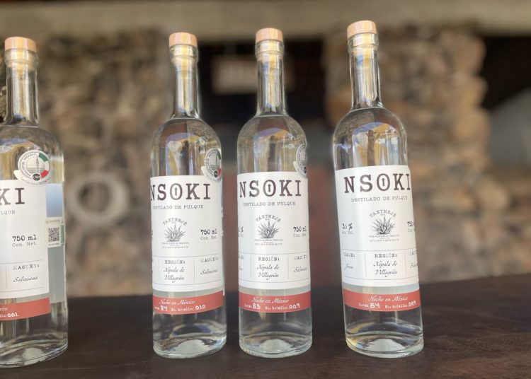 NSOKI: un destilado que renueva la tradición del maguey en Nopala