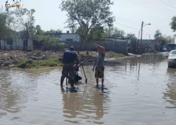 83% de pólizas de viviendas en Reynosa cubren riesgos hidrometereológicos