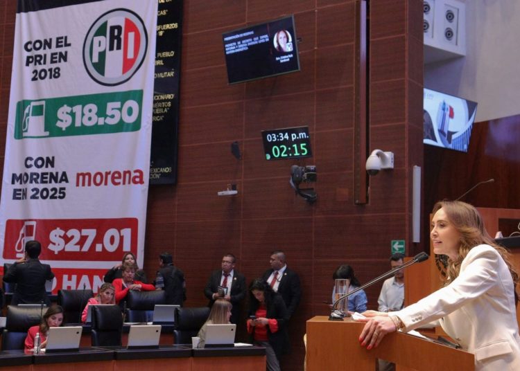 Rechaza el PRI una reforma energética sin sustento: Cristina Ruiz